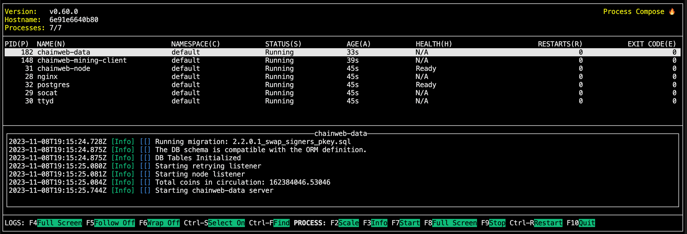 Development network (devnet) console